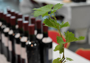 Producteurs