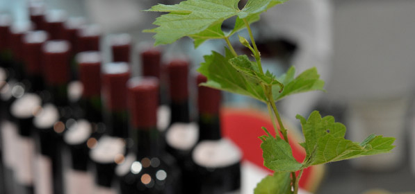 Résultat de recherche d'images pour "concours de bordeaux vins d'aquitaine 2017"