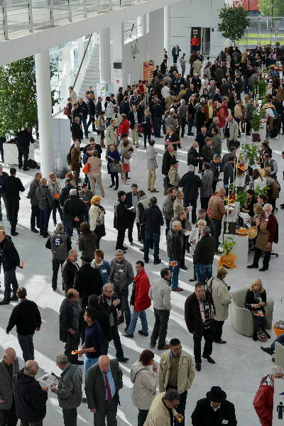 Concours-de-bordeaux-2014-2