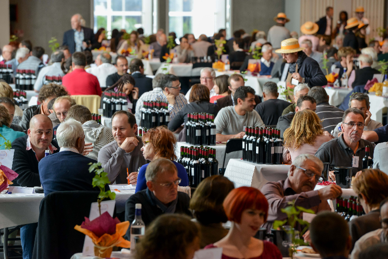 Concours-de-bordeaux-2014-5