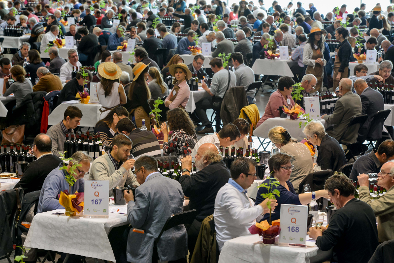 Concours-de-bordeaux-2014-10