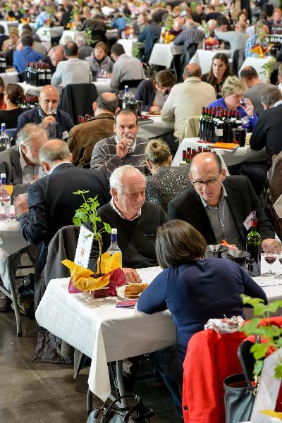 Concours-de-bordeaux-2014-12