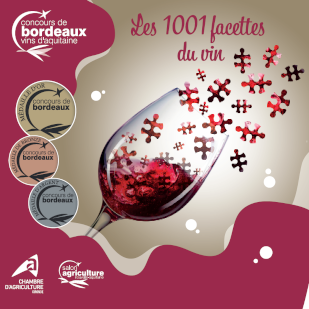 les 1001 facettes du vin