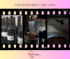 Les prélèvements des vins sont en cours…